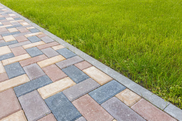 Best Affordable Driveway Paving  in Williamstown, WV